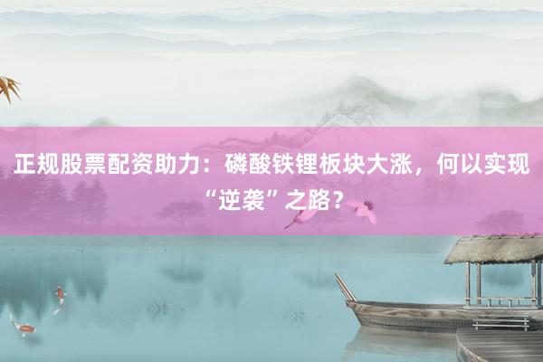 正规股票配资助力：磷酸铁锂板块大涨，何以实现“逆袭”之路？