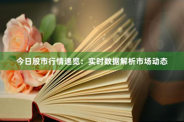 今日股市行情速览：实时数据解析市场动态