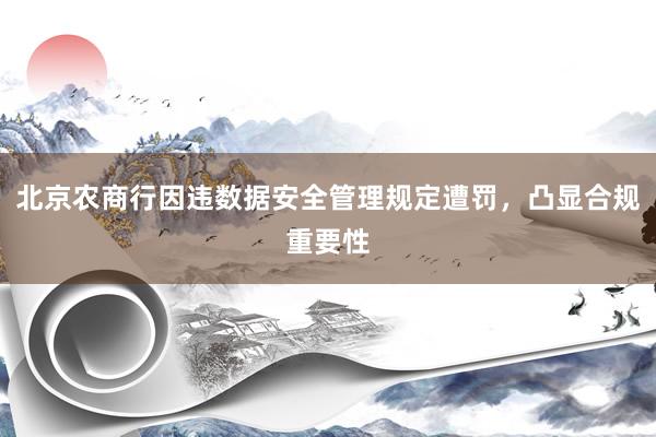 北京农商行因违数据安全管理规定遭罚，凸显合规重要性