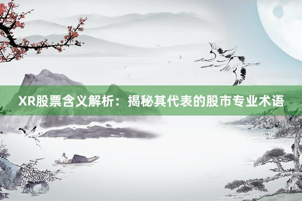 XR股票含义解析：揭秘其代表的股市专业术语