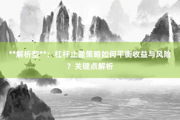 **解析型**：杠杆止盈策略如何平衡收益与风险？关键点解析
