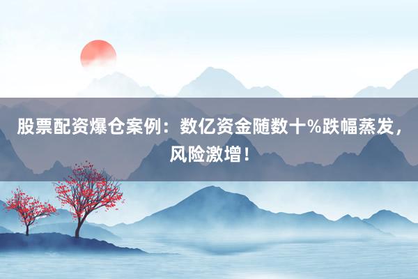 股票配资爆仓案例：数亿资金随数十%跌幅蒸发，风险激增！