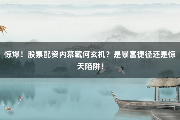 惊爆！股票配资内幕藏何玄机？是暴富捷径还是惊天陷阱！